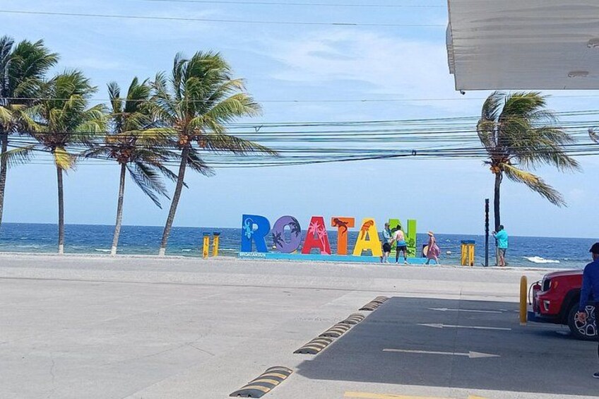 Roatan Wildlife Monkeys,Sloths, chocolate Rum tasting Island Tour 5