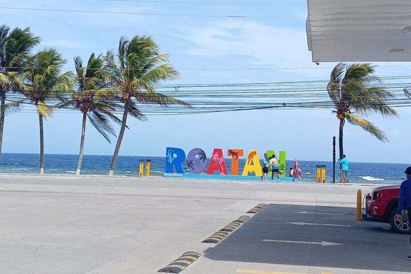 Roatan Wildlife Monkeys,Sloths, chocolate Rum tasting Island Tour 3