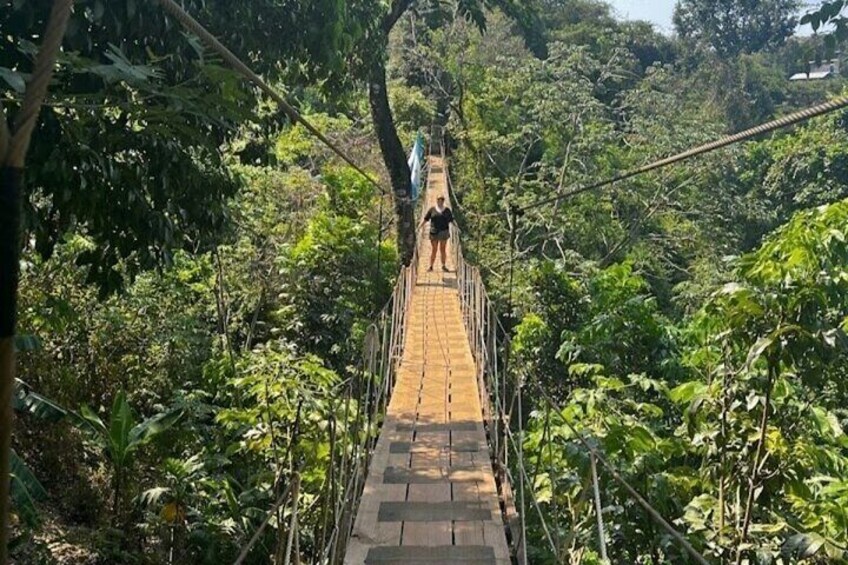 Roatan Wildlife Monkeys,Sloths, chocolate Rum tasting Island Tour 2