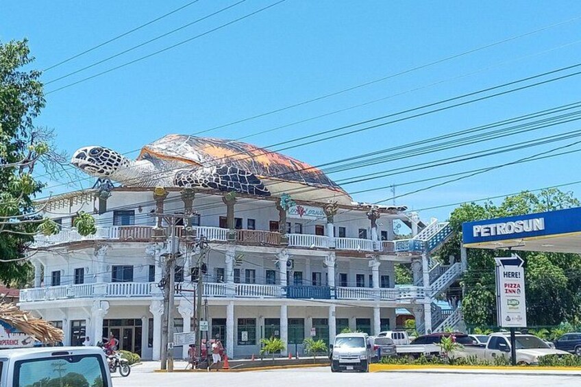 Roatan Wildlife Monkeys,Sloths, chocolate Rum tasting Island Tour 4