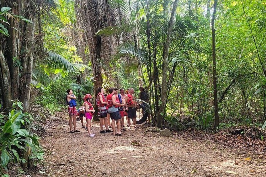 Cave Tubing and Altun Ha Mayan Ruin from Belize City with Lunch 3