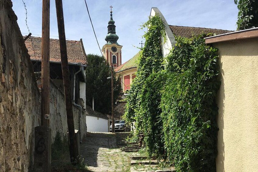 Un callejón estrecho con un campanario de iglesia a lo lejos, un edificio cubierto de hiedra y una escalera de piedra. 3