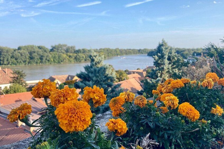 Un río, edificios y flores de cempasúchil. 5