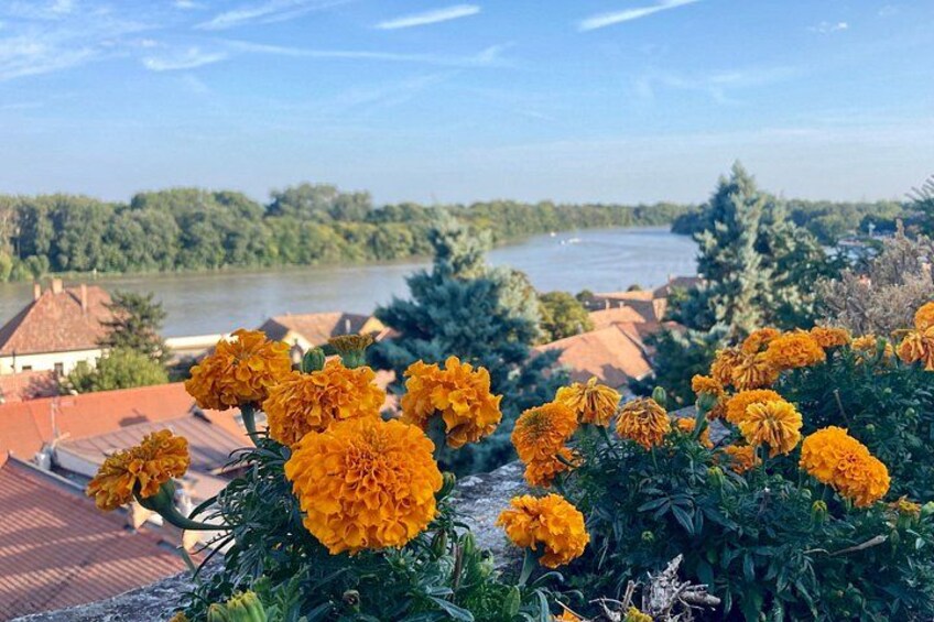 Ein Fluss, Häuser und Studentenblumen. 2