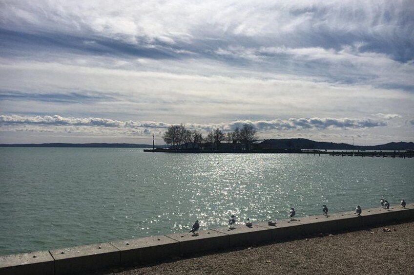 A calm lake with a concrete walkway, birds on the shore, and a distant tree-covered island. 4