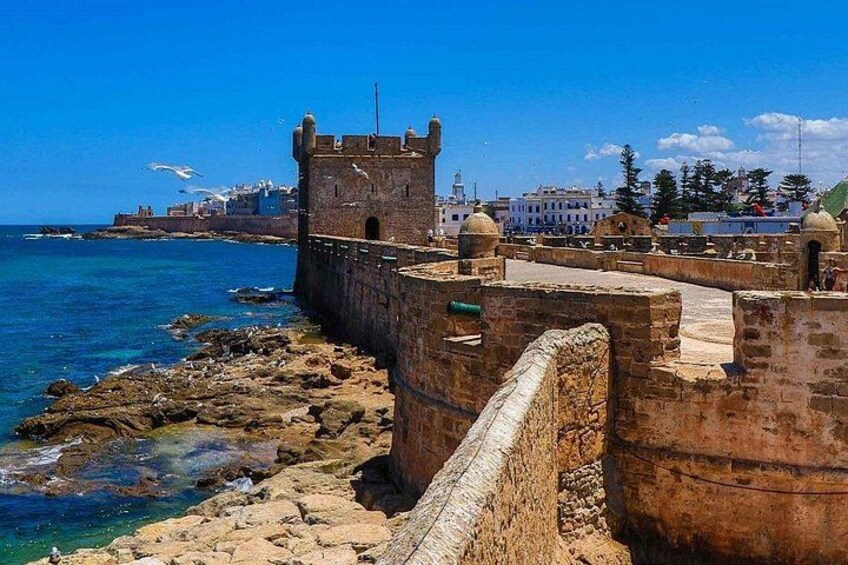 From Marrakech To Essaouira Mogador Full Day Trip | Small-group 3