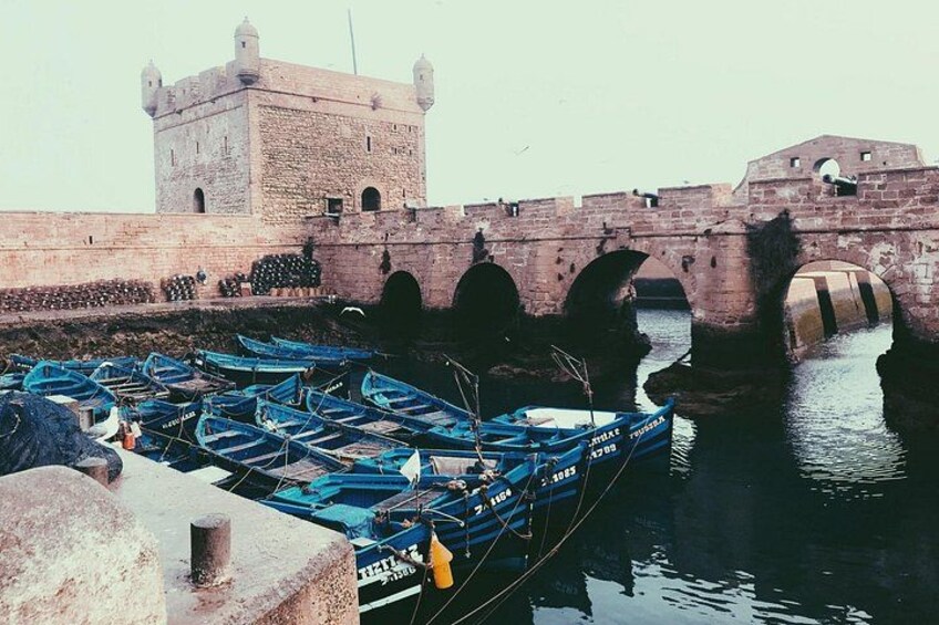 From Marrakech To Essaouira Mogador Full Day Trip | Small-group 2