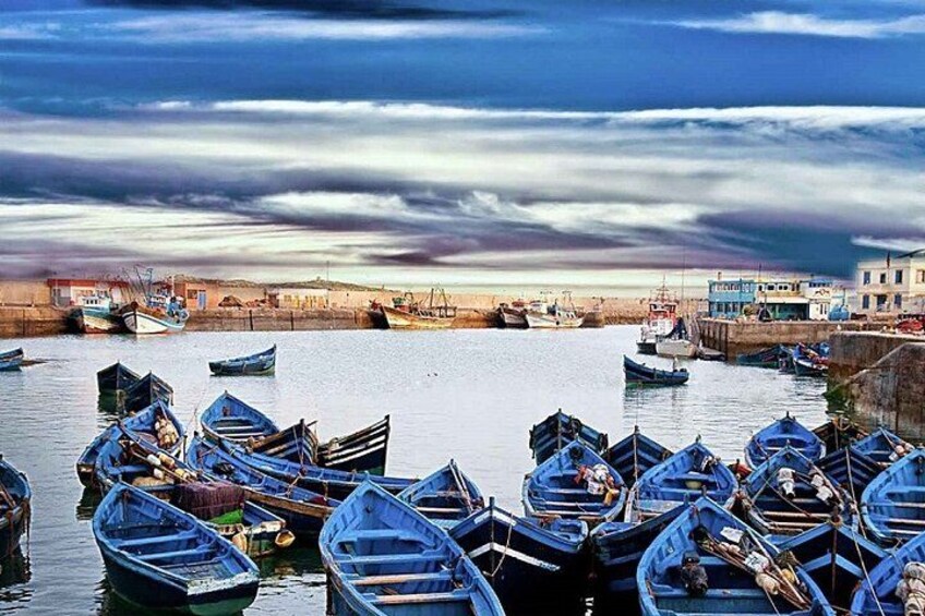 From Marrakech To Essaouira Mogador Full Day Trip | Small-group 4