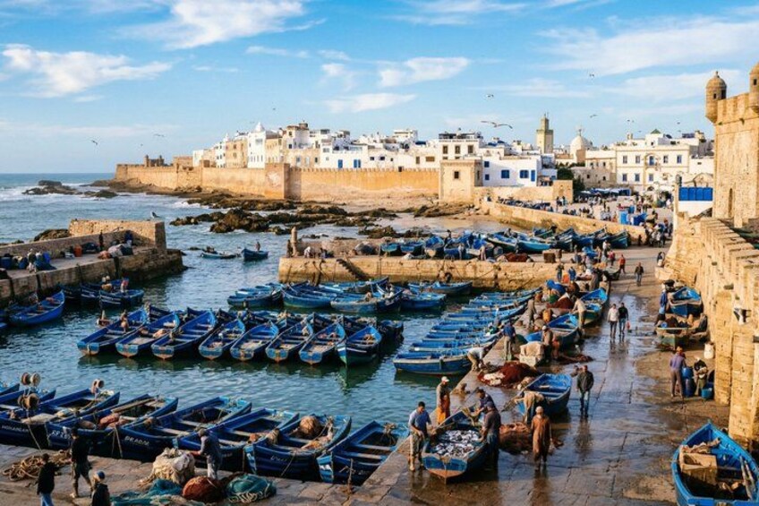 From Marrakech To Essaouira Mogador Full Day Trip | Small-group 4