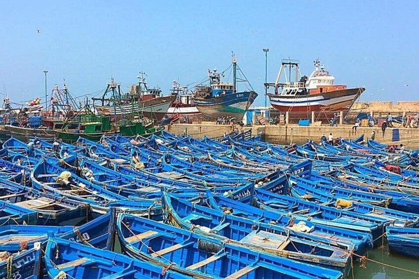 From Marrakech To Essaouira Mogador Full Day Trip | Small-group 1