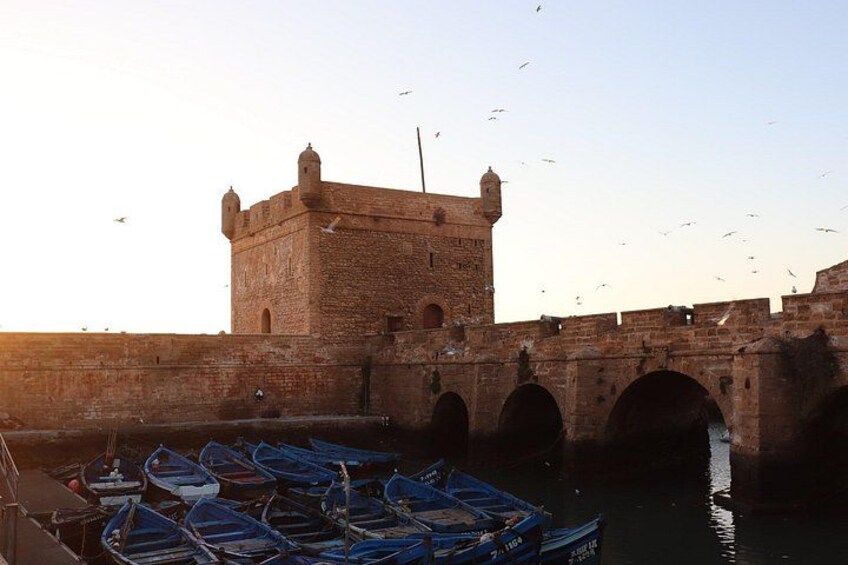 From Marrakech To Essaouira Mogador Full Day Trip | Small-group 4