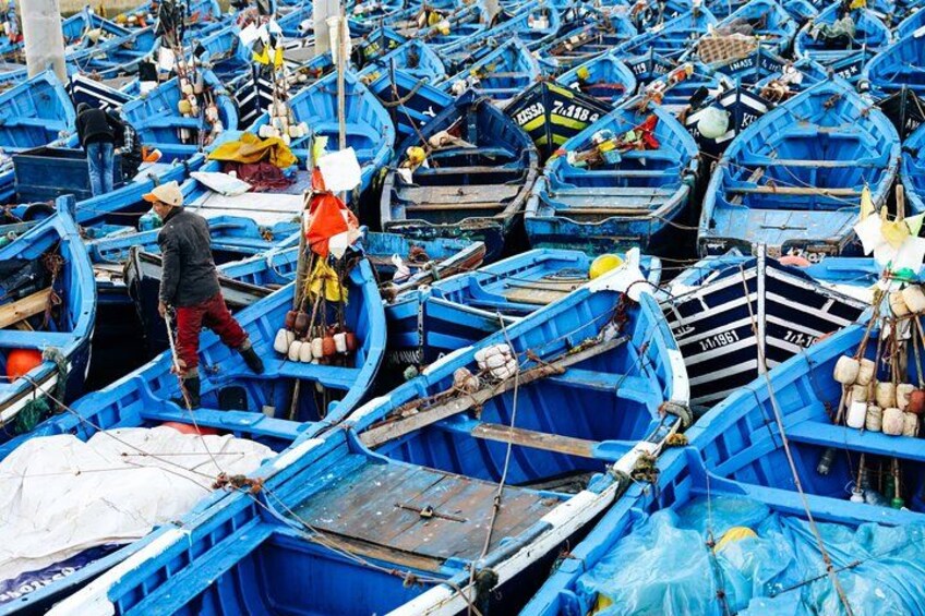 From Marrakech To Essaouira Mogador Full Day Trip | Small-group 3