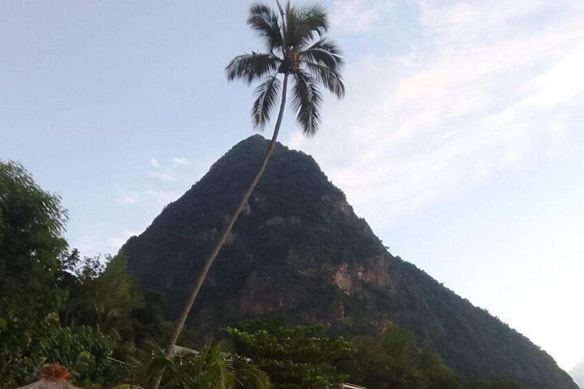 A mountain with a palm tree in the foreground. 2