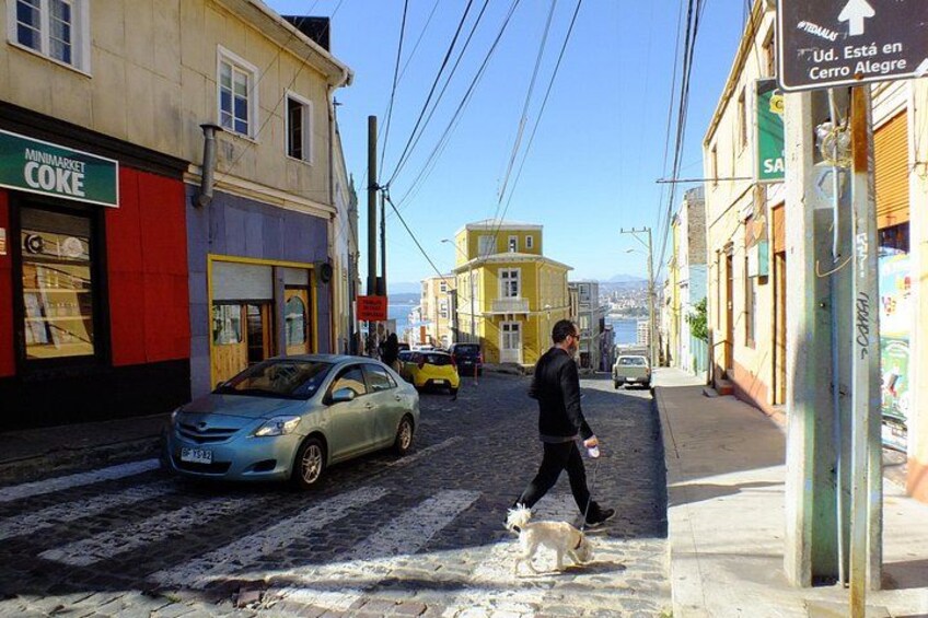 A cobblestone street with a person walking a dog, parked cars, and buildings with signage. 2