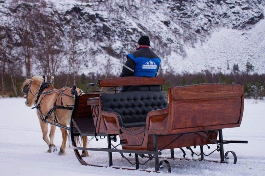 A person in a blue jacket riding a wooden sleigh pulled by a horse on a snowy landscape with mountains in the background. 4