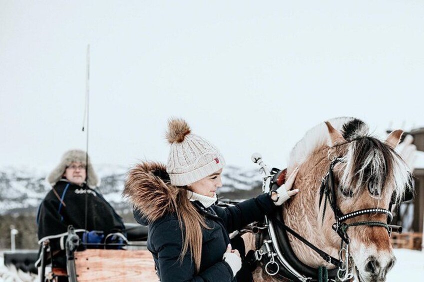 A person leading a horse with a harness, another person in the background, and a snowy landscape. 2