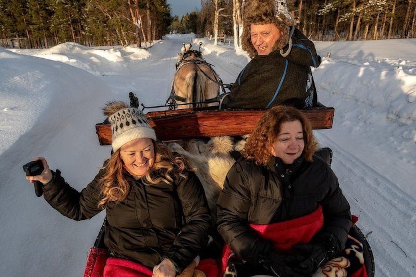 Two people in a sleigh being pulled by a horse. 1