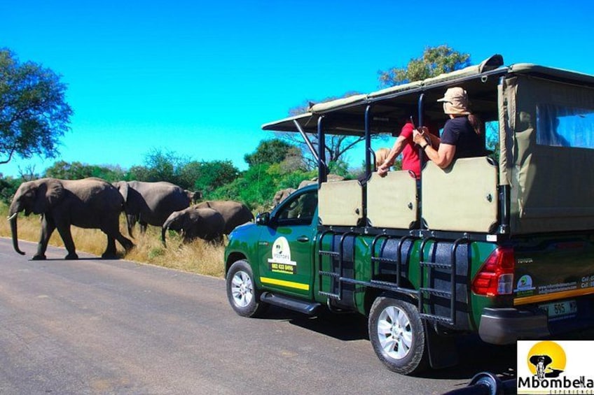 3 Days Johannesburg - Kruger Safari- Blyde River Canyon 5