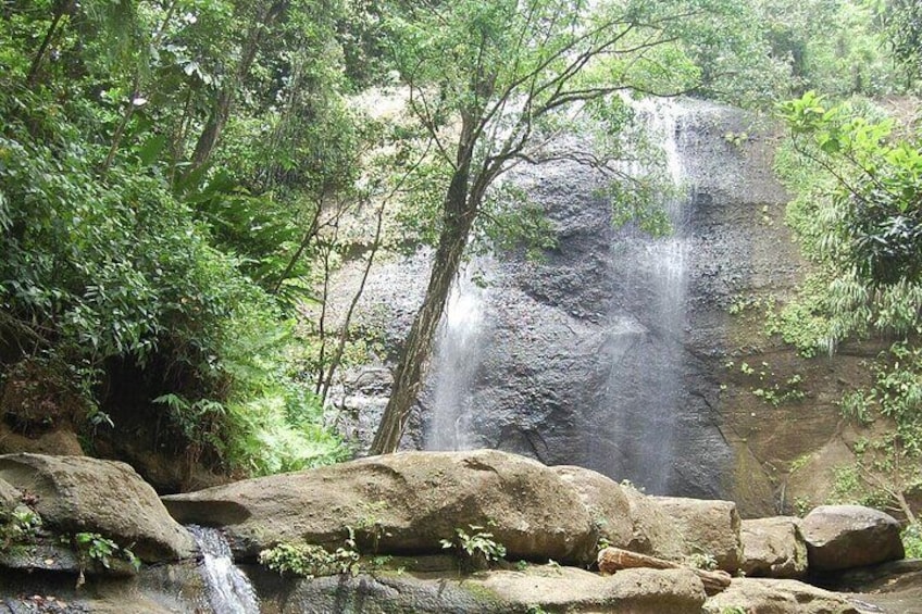 East Coast Horseback Riding & Waterfall Excursion 