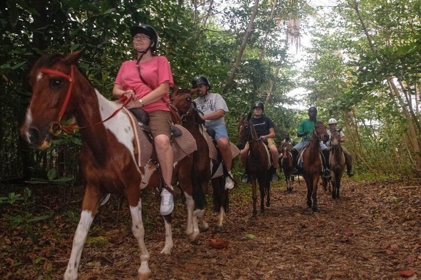 East Coast Horseback Riding & Waterfall Excursion 