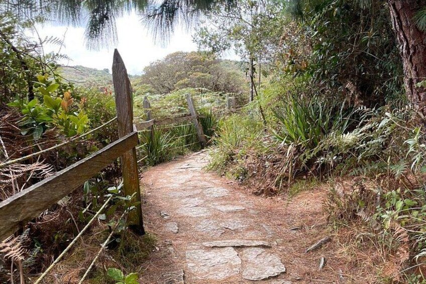 Cheapest ZIPAQUIRA & GUATAVITA LAKE Visit 5 Top Sights w/PICKUP 5