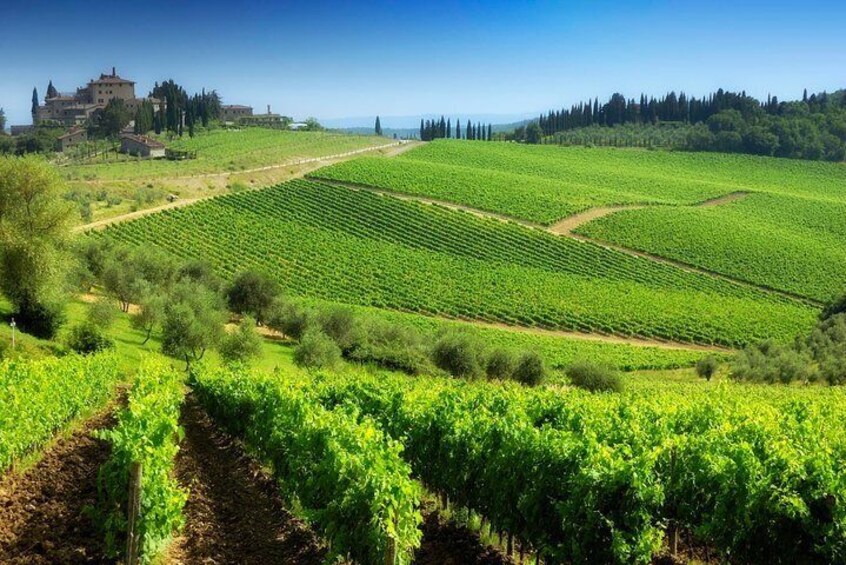 Tuscany Countryside