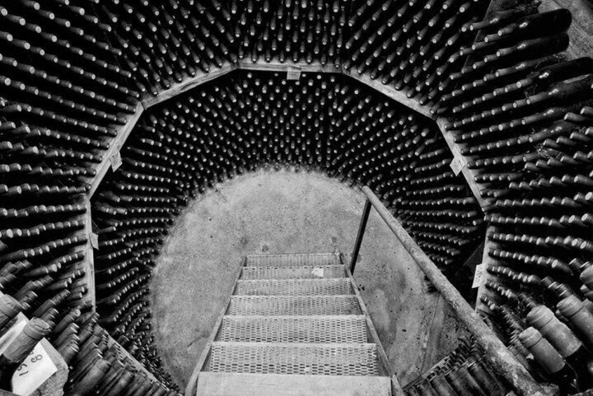 Wine Cellar 