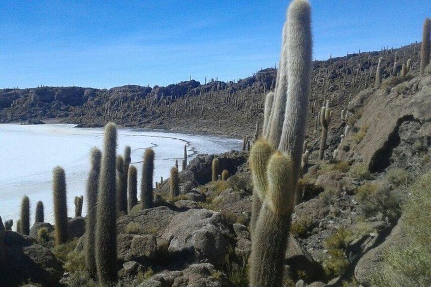4-Day Bolivia Private Tour with English Guide from La Paz Bolivia 2