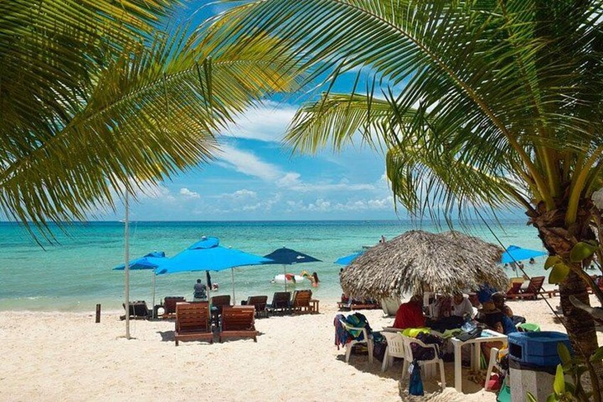 A beach with palm trees, blue umbrellas, and lounge chairs. 1