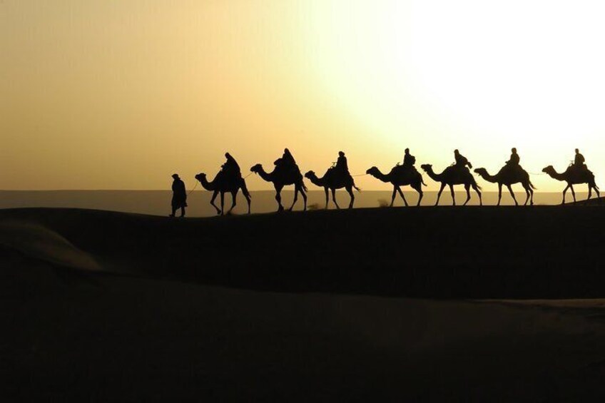 Silhouettes of people riding camels across a desert at sunset. 1