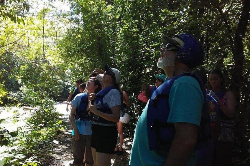 Un grupo de personas caminando en un bosque. 5