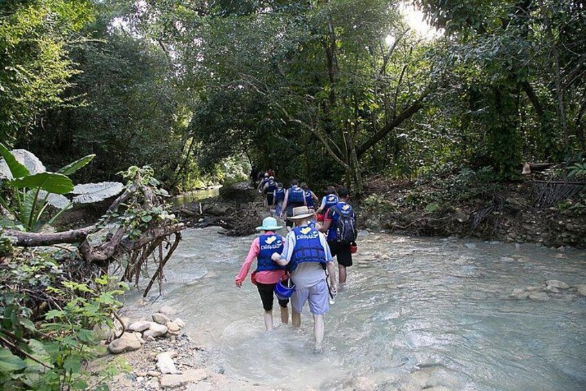 Personas caminando por un arroyo poco profundo en un área boscosa. 3
