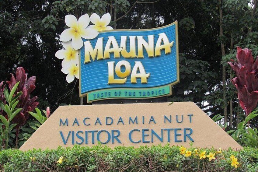Hilo Shore Excursion: Volcanoes National Park & Black Sand Beach 2