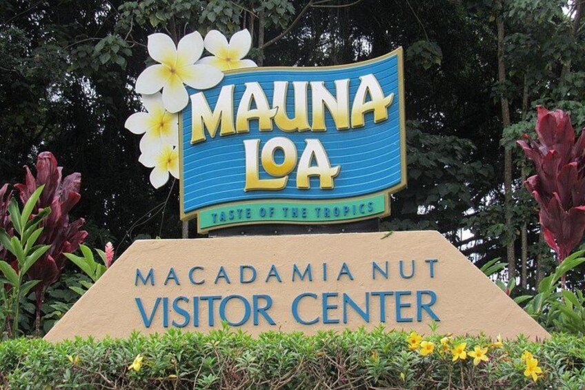 Hilo Shore Excursion: Volcanoes National Park & Black Sand Beach 2