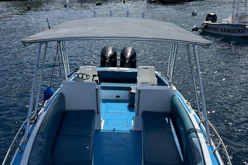 St. Lucia Private Boat Tour, Mud Bath, Waterfall & Beach Time 5