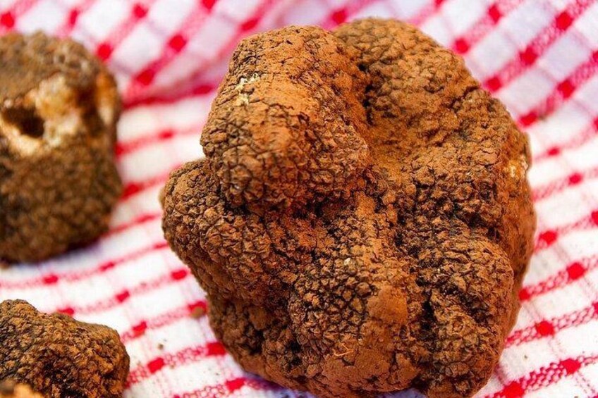 Truffles 3