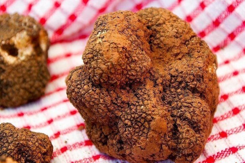 Gros plan sur des truffes posées sur un tissu à carreaux rouges et blancs. 4