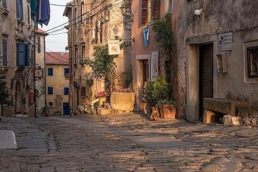 Une rue pavée bordée de bâtiments historiques, dont certains sont ornés de plantes et de fleurs. 3