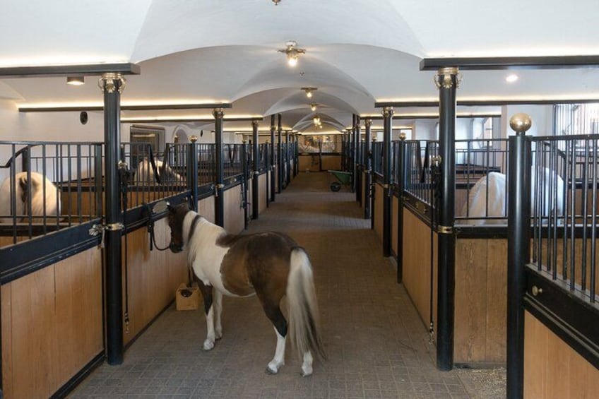 Een paardenstal met houten boxen en zwarte metalen hekken. 3