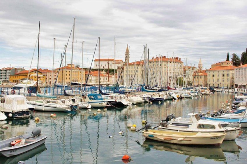 A marina with various boats docked, buildings in the background, and calm water. 2