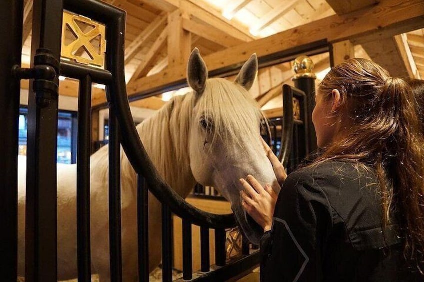 Een persoon aait een paard in een stal met houten balken en een zwart hek. 5