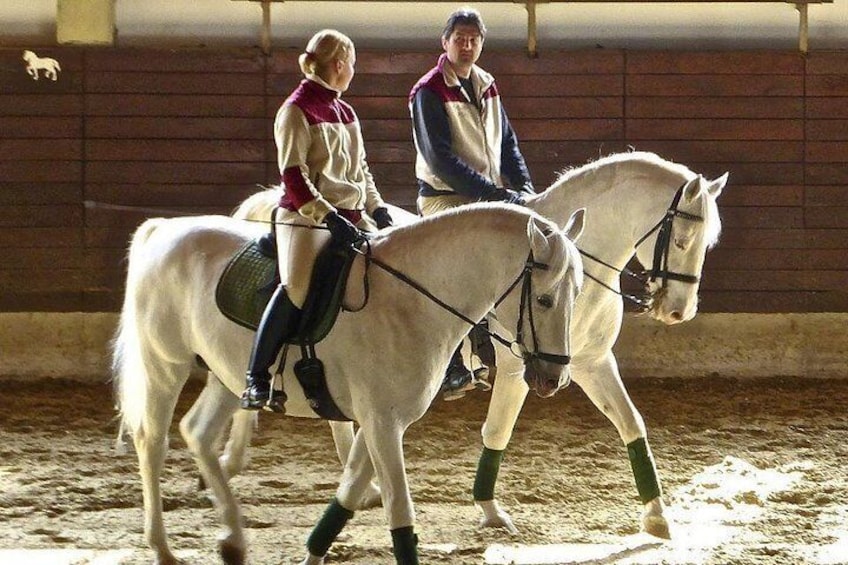 Twee personen die witte paarden berijden in een overdekte arena. 4