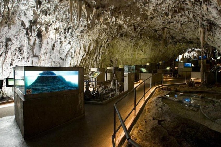 Postojna Cave & Predjama Castle - Small Group Tour from Trieste 3