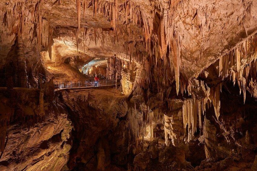 Postojna Cave 5