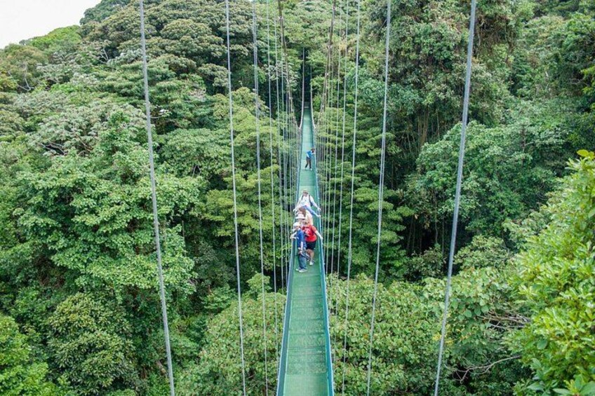 Exotic 9-Day Costa Rica Adventure: Volcano, Rainforest & Beaches 3