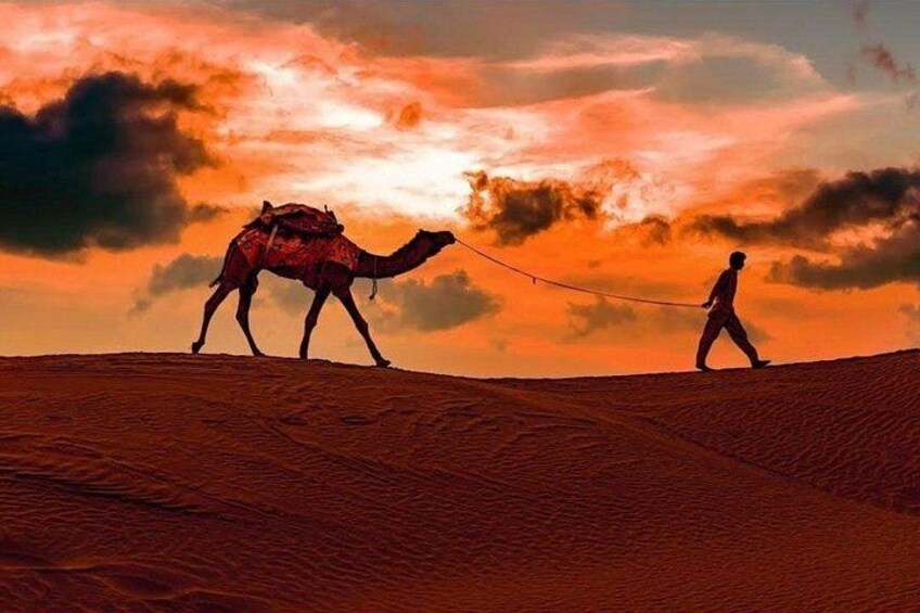 A camel and a person on a dune with a sunset in the background. 4