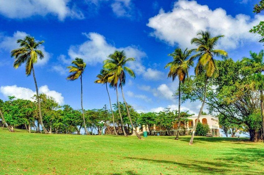 Manicured views to enjoy. 5