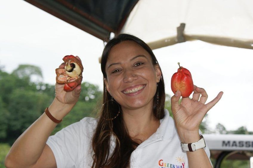 Une personne tenant deux fruits rouges, dont l’un est coupé en deux et l’autre est entier, avec une tente et de la verdure en arrière-plan. 1