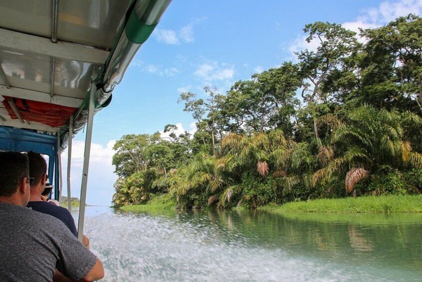 A river with lush greenery and trees on the banks. 2