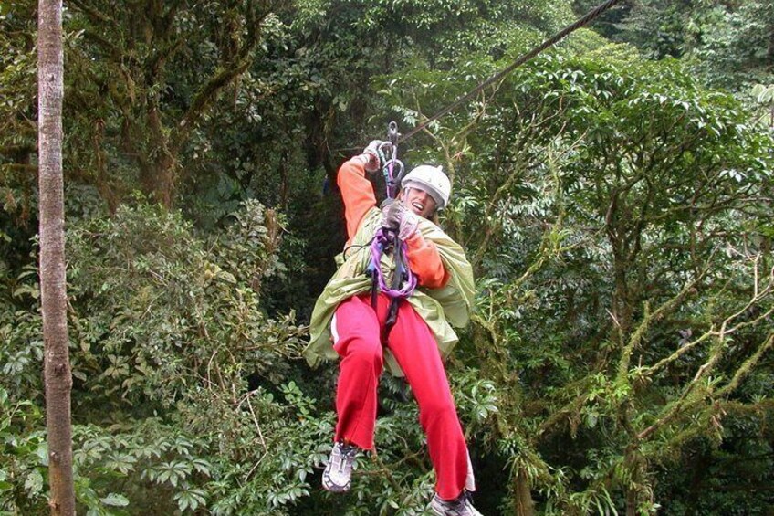 Zipline Canopy Tour & Tortuguero Canal Shore Excursion from Puerto Limon Costa Rica by Greenway Nature Tours
